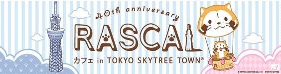 40th anniversary RASCAL カフェin TOKYO SKYTREE TOWN（C）NIPPON ANIMATION CO．，LTD． （C）TOKYO-SKYTREE