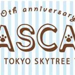 40th anniversary RASCAL カフェin TOKYO SKYTREE TOWN（C）NIPPON ANIMATION CO．，LTD． （C）TOKYO-SKYTREE