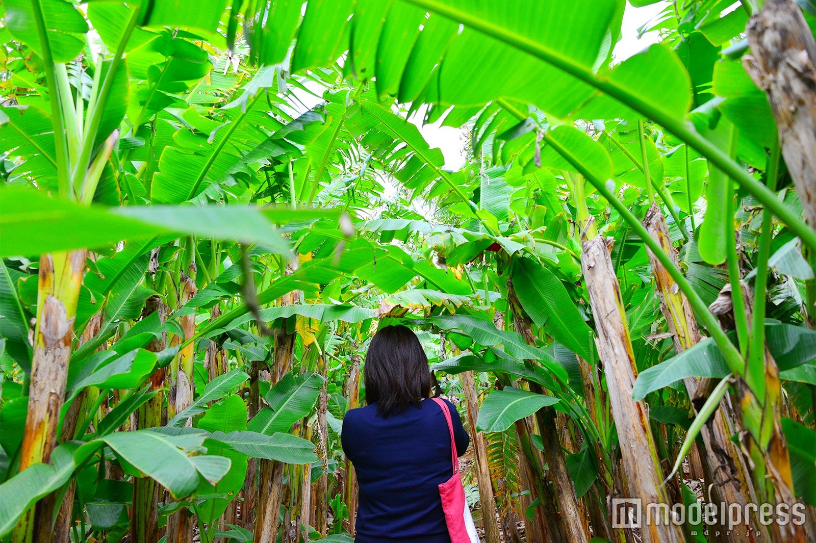 城間びんがた工房（C）モデルプレス