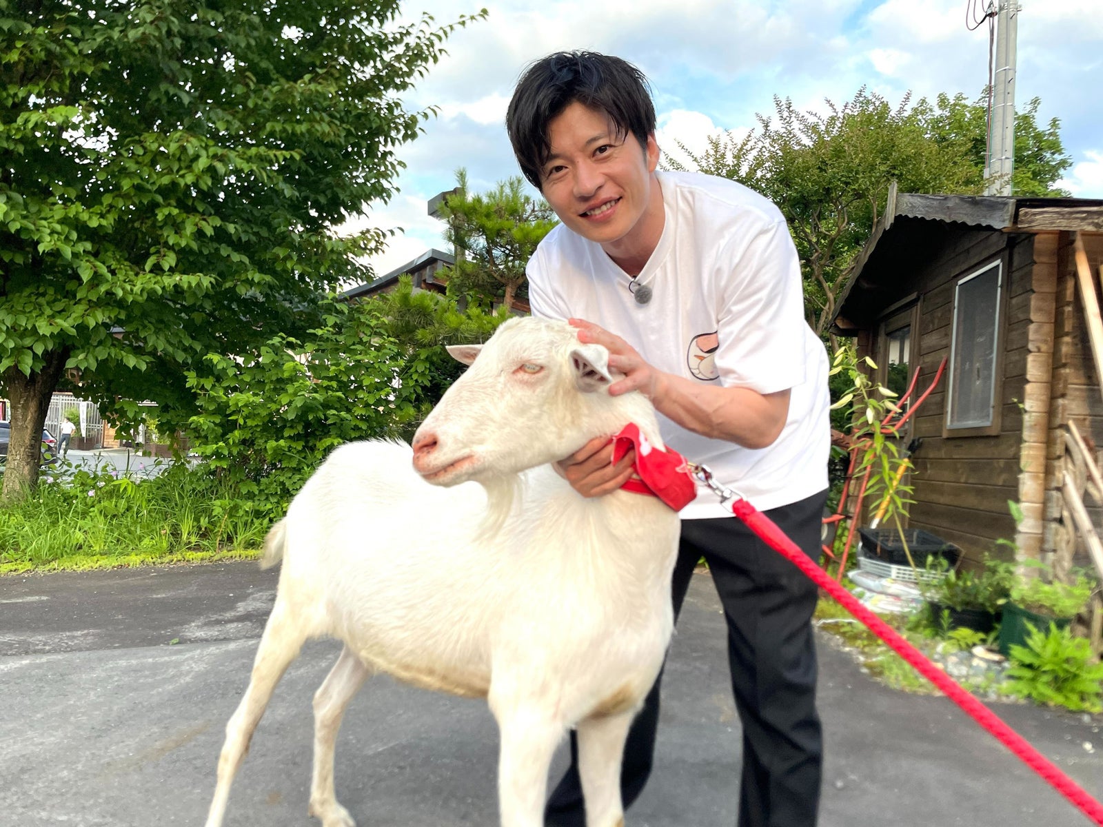 田中圭、ヤギのポポ（C）テレビ東京