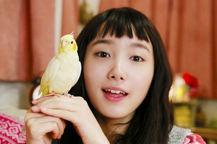 飯豊まりえ/メイキングカット(C)2017「きょうのキラ君」製作委員会