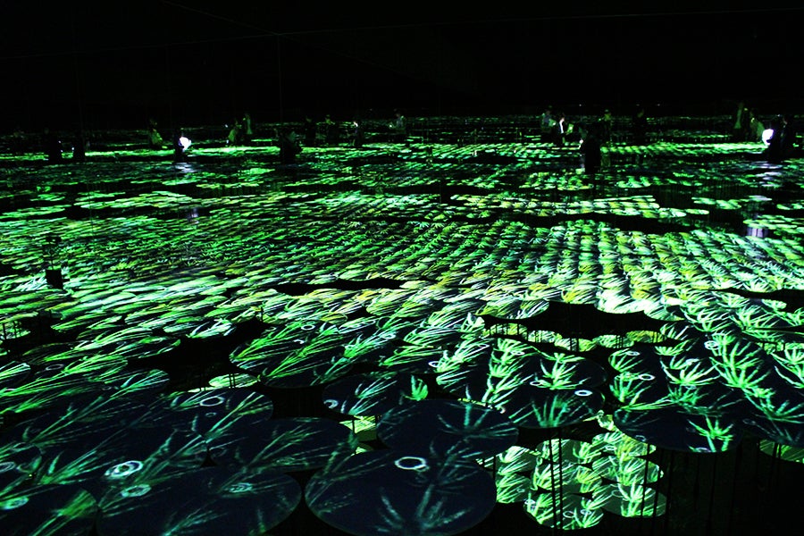 MORI Building DIGITAL ART MUSEUM: EPSON teamLab Borderless_Borderless World