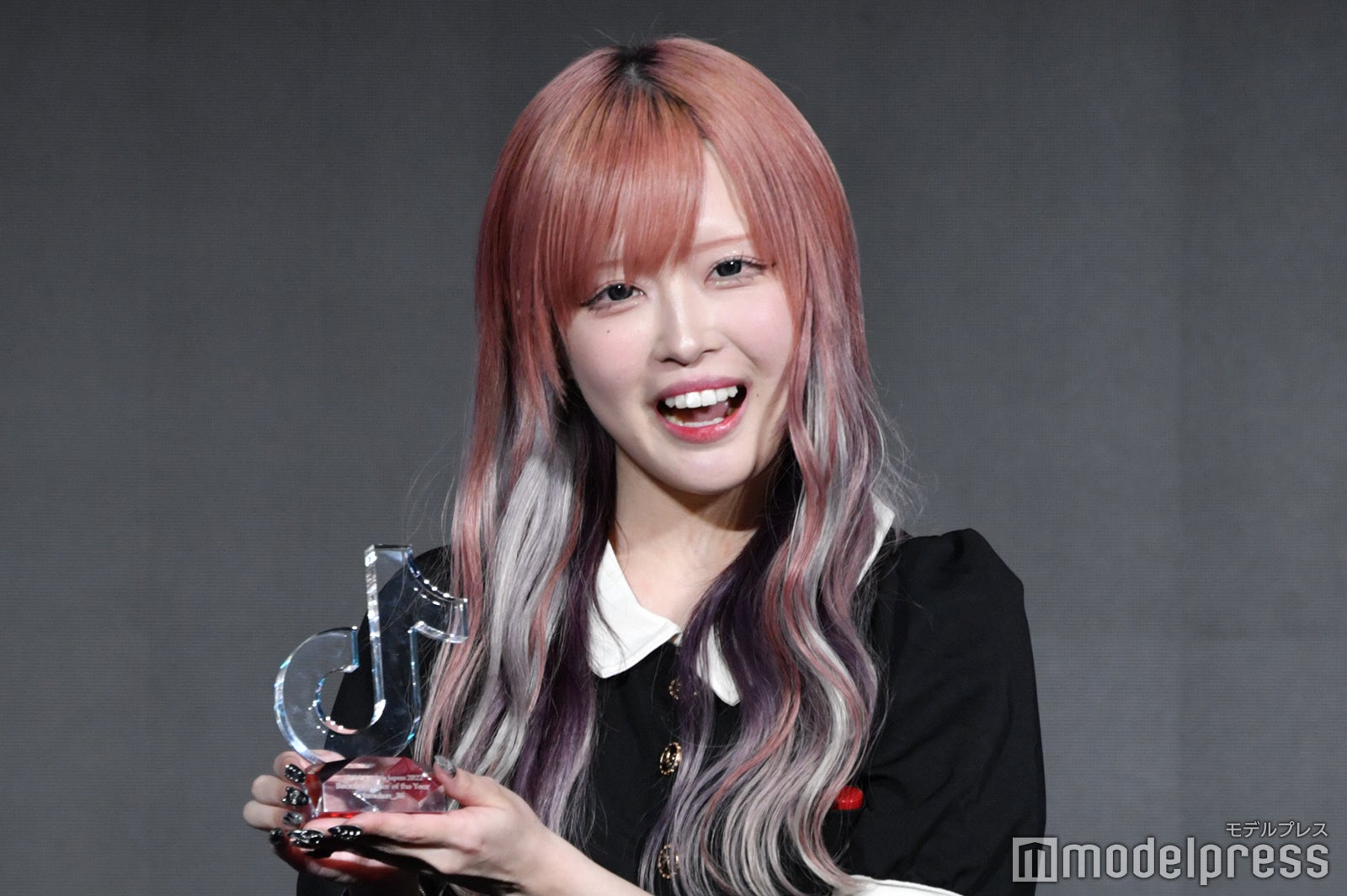 ハウスダスト （C）モデルプレス