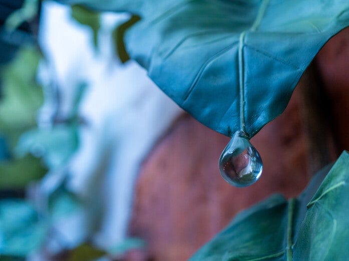 「床下の家」の外には「小人の庭」があり、アリエッティたちには花や草、水のしずくなどがこのサイズに見えているんだなぁ、ということが実感できます