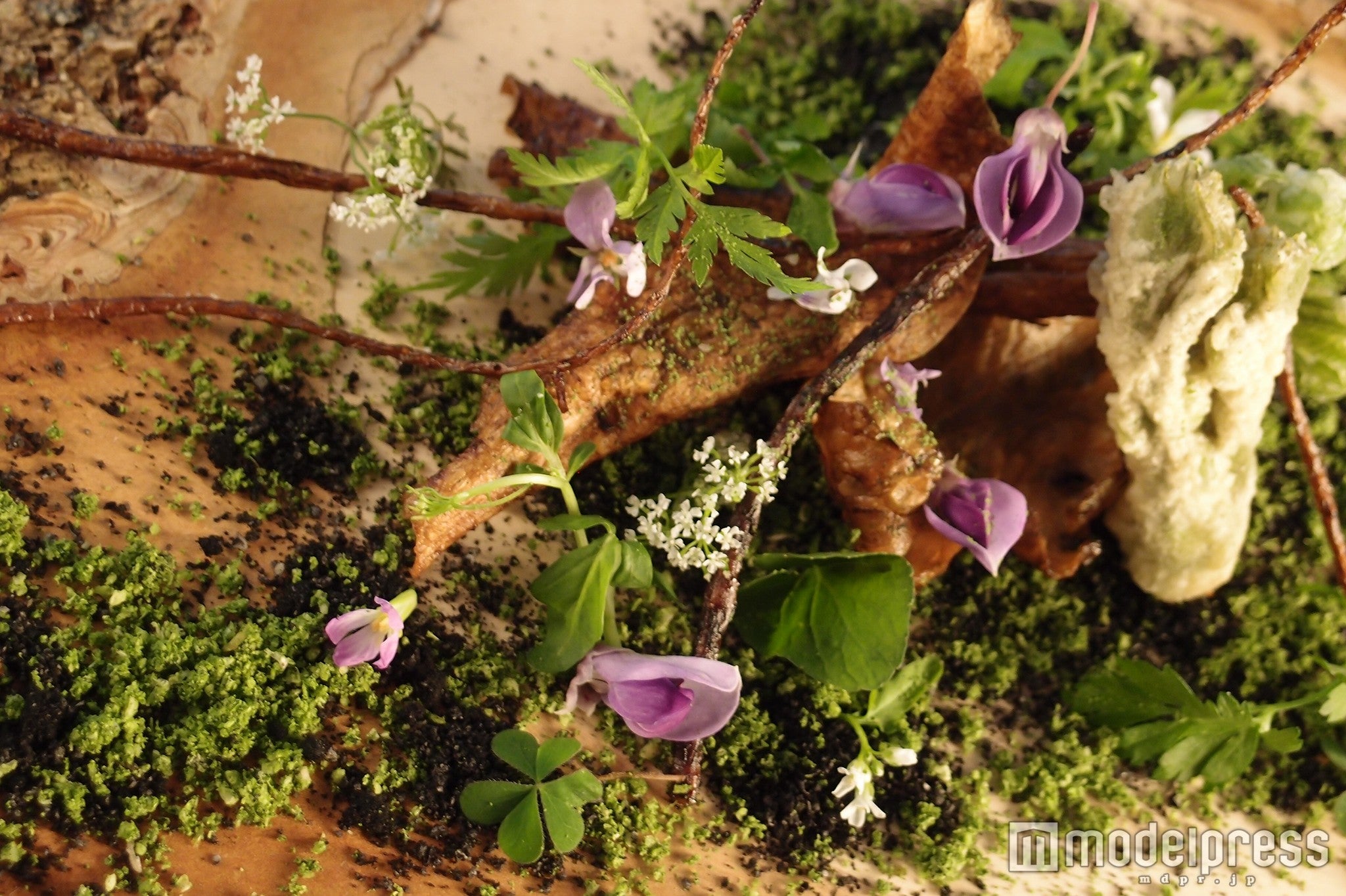 SATOYAMA Scenery／画像提供：アビアレップス