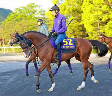アドマイヤクワッズは毎日王冠で始動 アスクエジンバラはセントライト記念へ