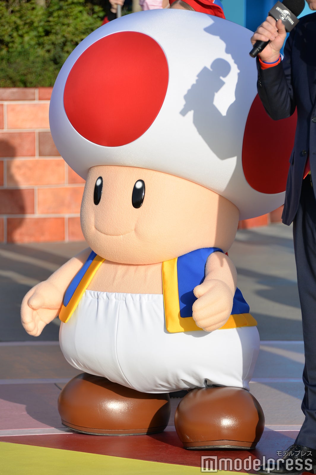 キノピオ（C）モデルプレス