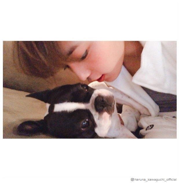 川口春奈、プライベートキスショット「羨ましすぎる」「迫られたい」と反響