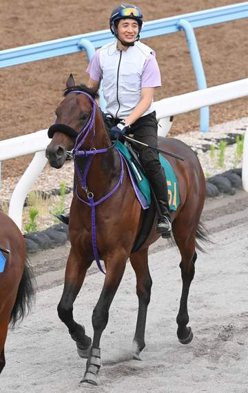 【新馬戦】エスクアドラ いざ先制攻撃 良血の一撃なるか 鹿戸師は反応の良さ強調