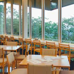 鮨おおぜき(C)モデルプレス