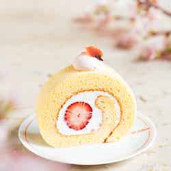 Sakura Roll Cake - 桜のロールケーキ(青山限定)¥700/提供画像