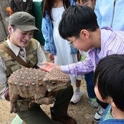 (C)モデルプレス