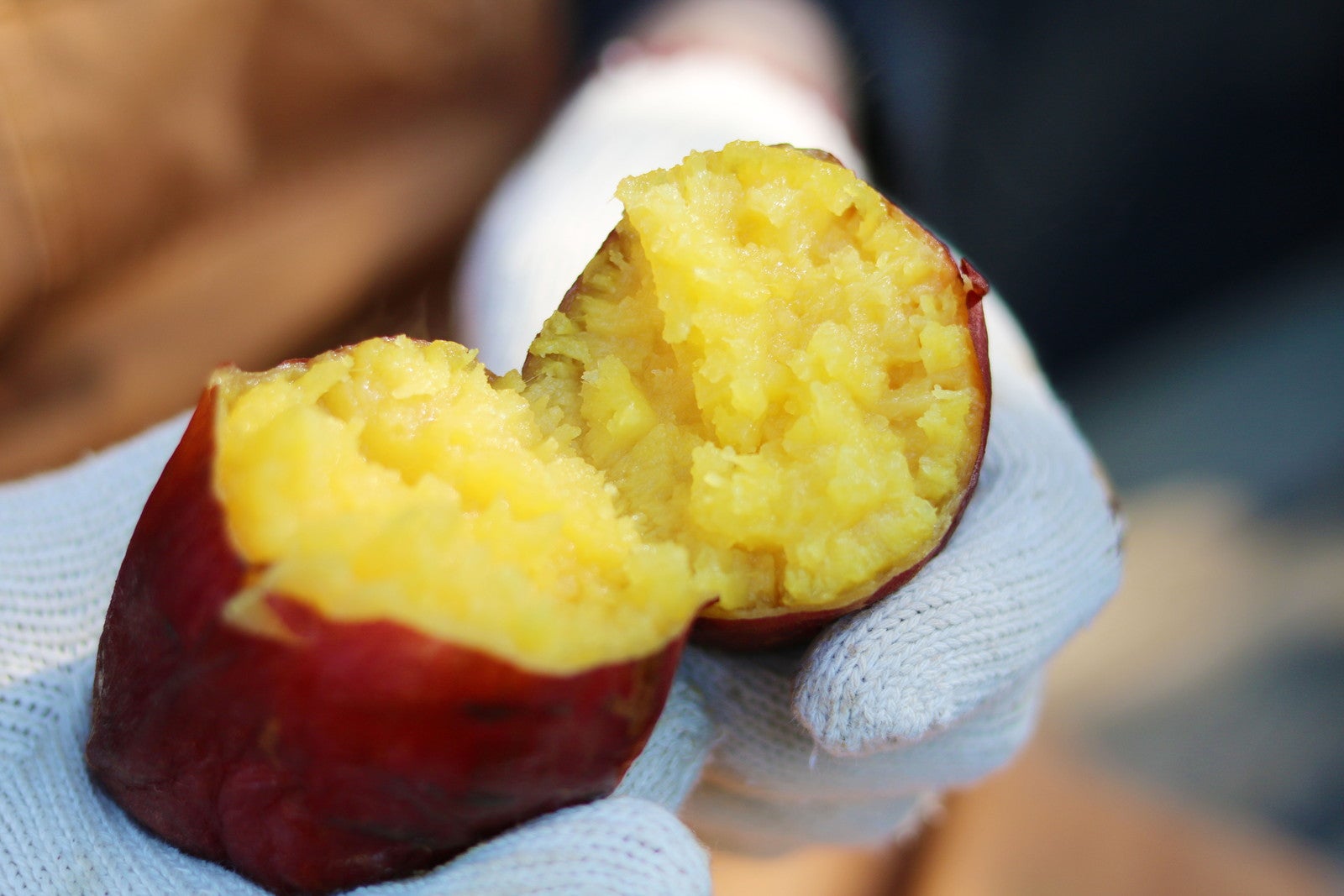 横浜おいも万博／提供画像