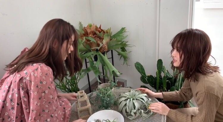 ショートコント“サボテン姉妹”松村沙友理、山下美月（提供写真）