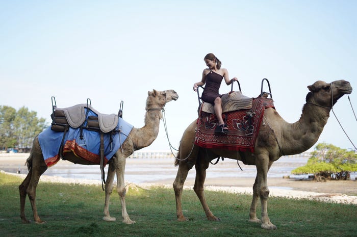 休日の様子(提供写真)