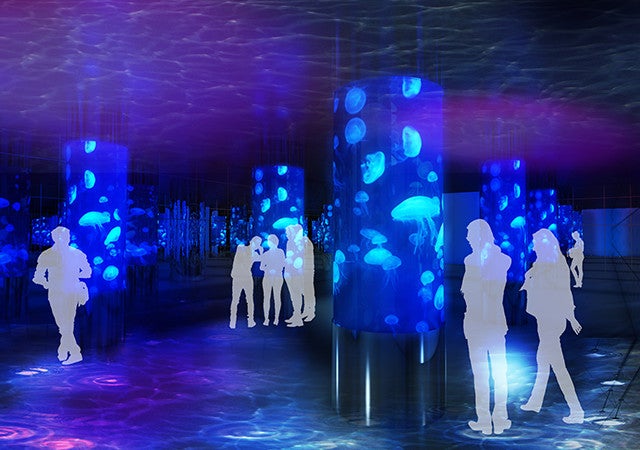 DMMかりゆし水族館／画像提供：DMM.com