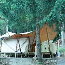 ミューの森(C)モデルプレス