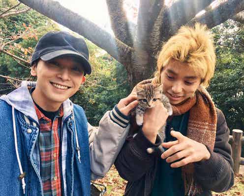 “子猫を愛でる吉沢亮&村上虹郎”に歓喜の声「尊すぎる…」「最高です」