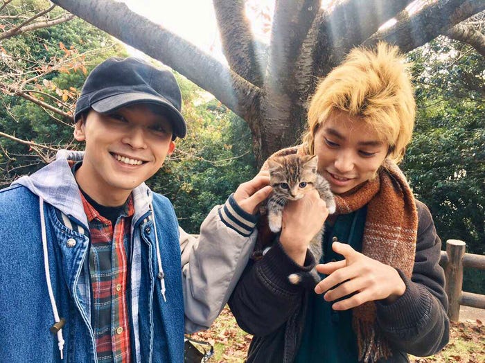 猫と戯れる吉沢亮&村上虹郎(提供写真)