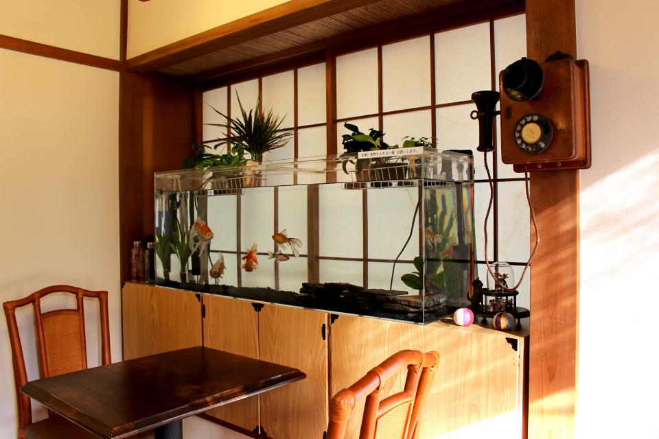 yuzu-collection-content-2554-1524989937.