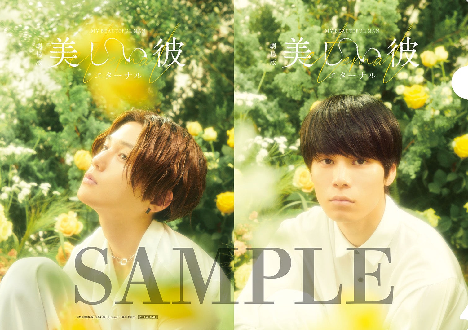 八木勇征、萩原利久／劇場版「美しい彼～eternal～」ムビチケ特典クリアファイル（C）2023 劇場版「美しい彼～eternal～」 製作委員会