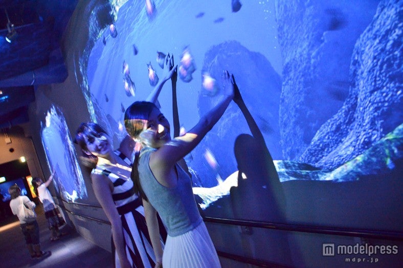 ウミスズメが舞い泳ぐ「海中生物との戯れ」／モデル：小林さり、岡田紗佳