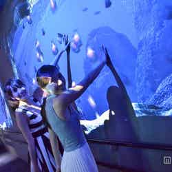 ウミスズメが舞い泳ぐ「海中生物との戯れ」/モデル:小林さり、岡田紗佳