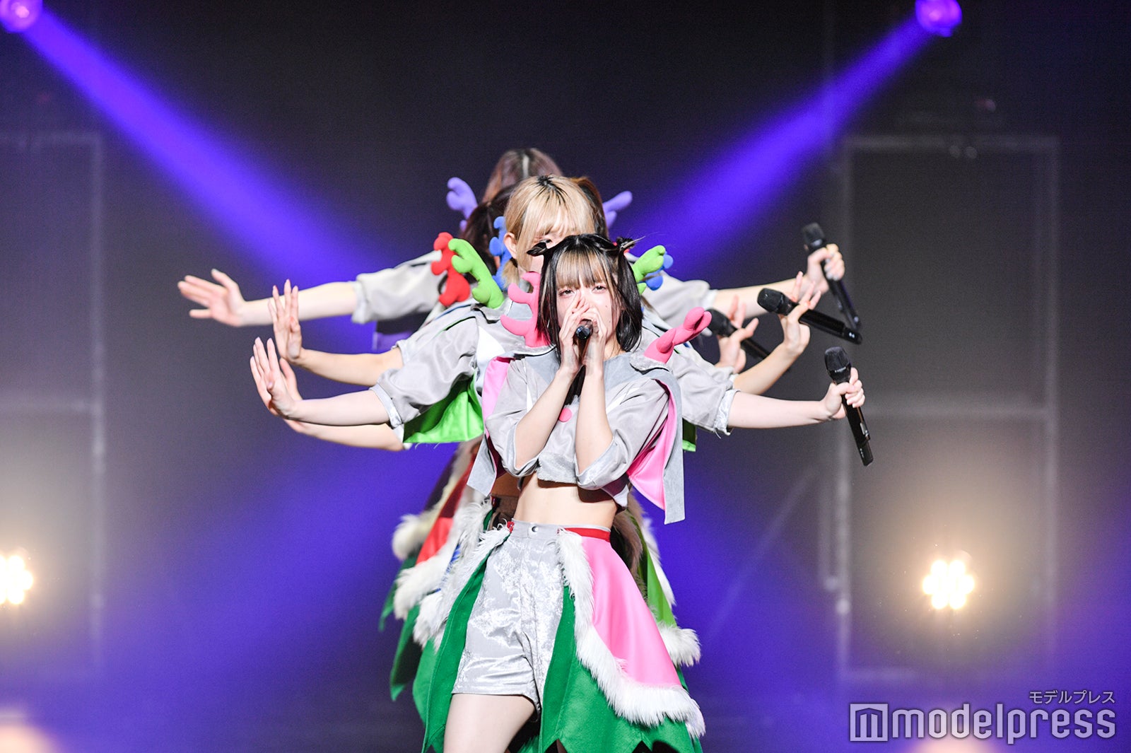 豆柴の大群（C）モデルプレス