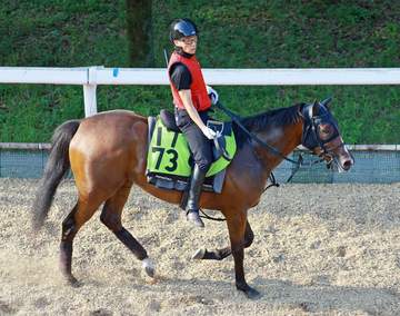 ベルコートは初陣を8月2日の中京3Rへスライド