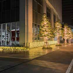 ヨコハマミライト(提供写真)