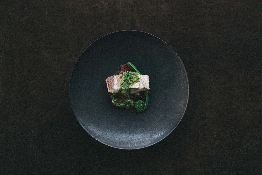 エンソウ／画像提供：日東電化工業