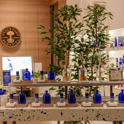 神戸BAL/提供画像