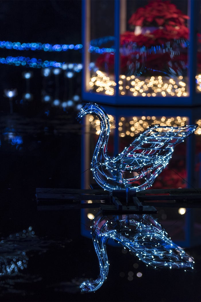 Flower Fantasy／画像提供：足利フラワーリゾート