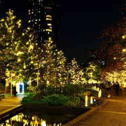 MIDTOWN CHRISTMAS 2022／画像提供：東京ミッドタウンマネジメント
