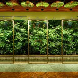 LUFTBAUM/提供画像