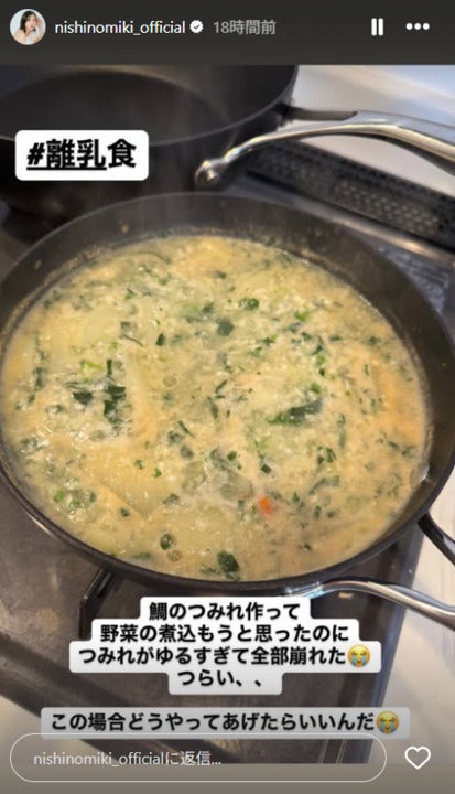 西野未姫Instagramストーリーズより