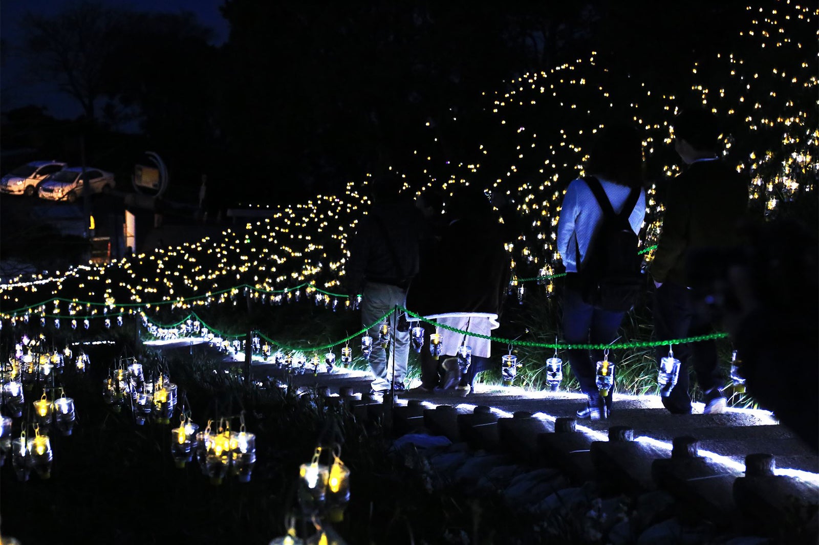 絶景イルミネーション「水仙岬のかがやき2018」／画像提供：一般社団法人越前町観光連盟