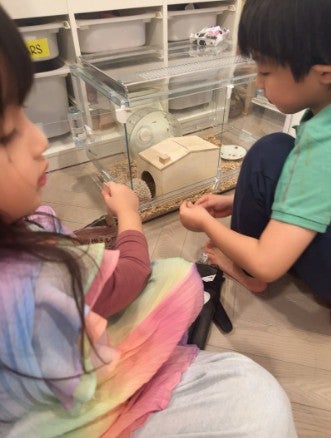 川崎希　オフィシャルブログより