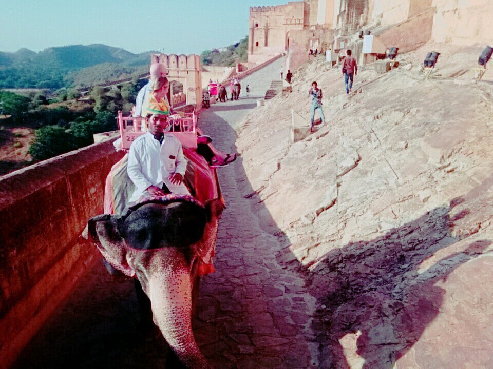 象／画像提供：所属事務所