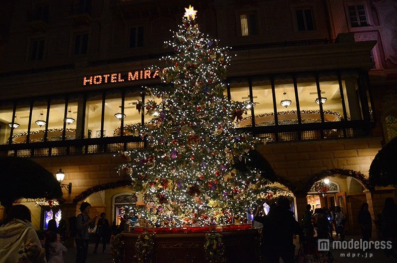 メディテレーニアンハーバーのツリー（夜）