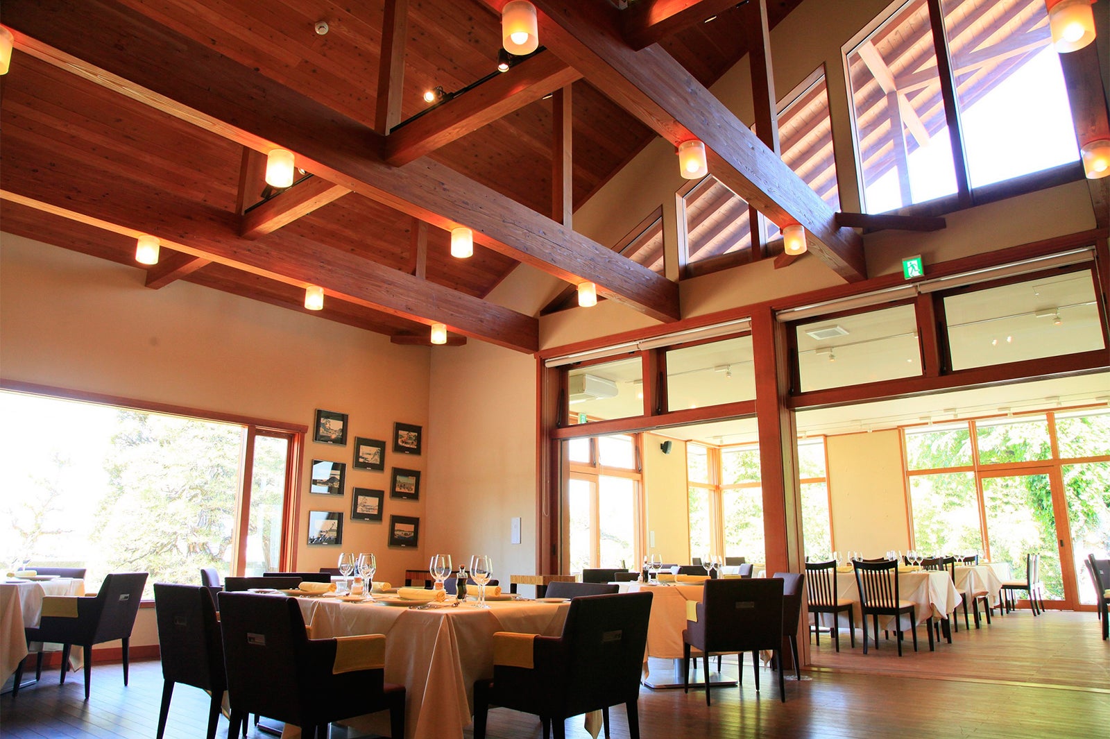 「ゼルコバ」（提供画像）