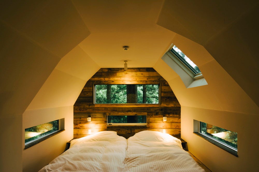 ツリーハウス／画像提供：第一ホテルマネジメント