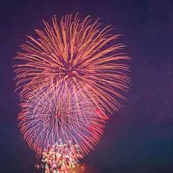 水中花火とスターマインとのコラボレーション/画像提供:鎌倉市観光協会