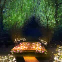 ファイバーフラワーイルミネーション/画像提供:大江戸温泉物語