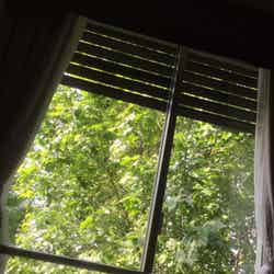 小林麻央が病室の窓から見ている景色／小林麻央オフィシャルブログ（Ameba）より