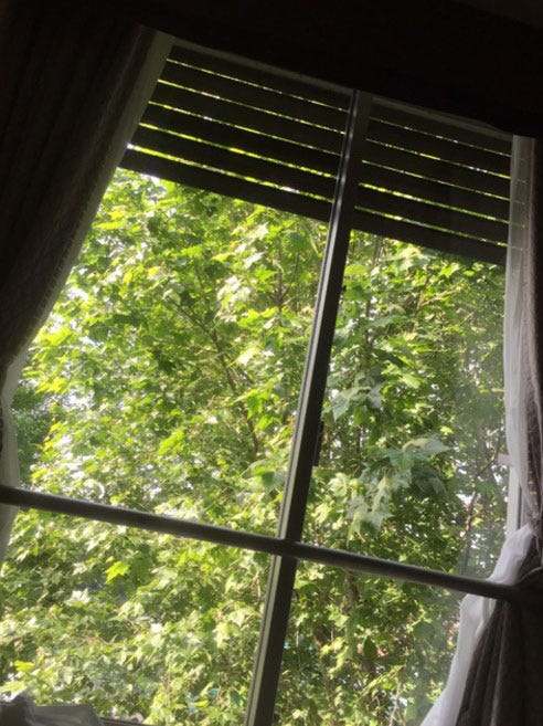 小林麻央が病室の窓から見ている景色/小林麻央オフィシャルブログ(Ameba)より