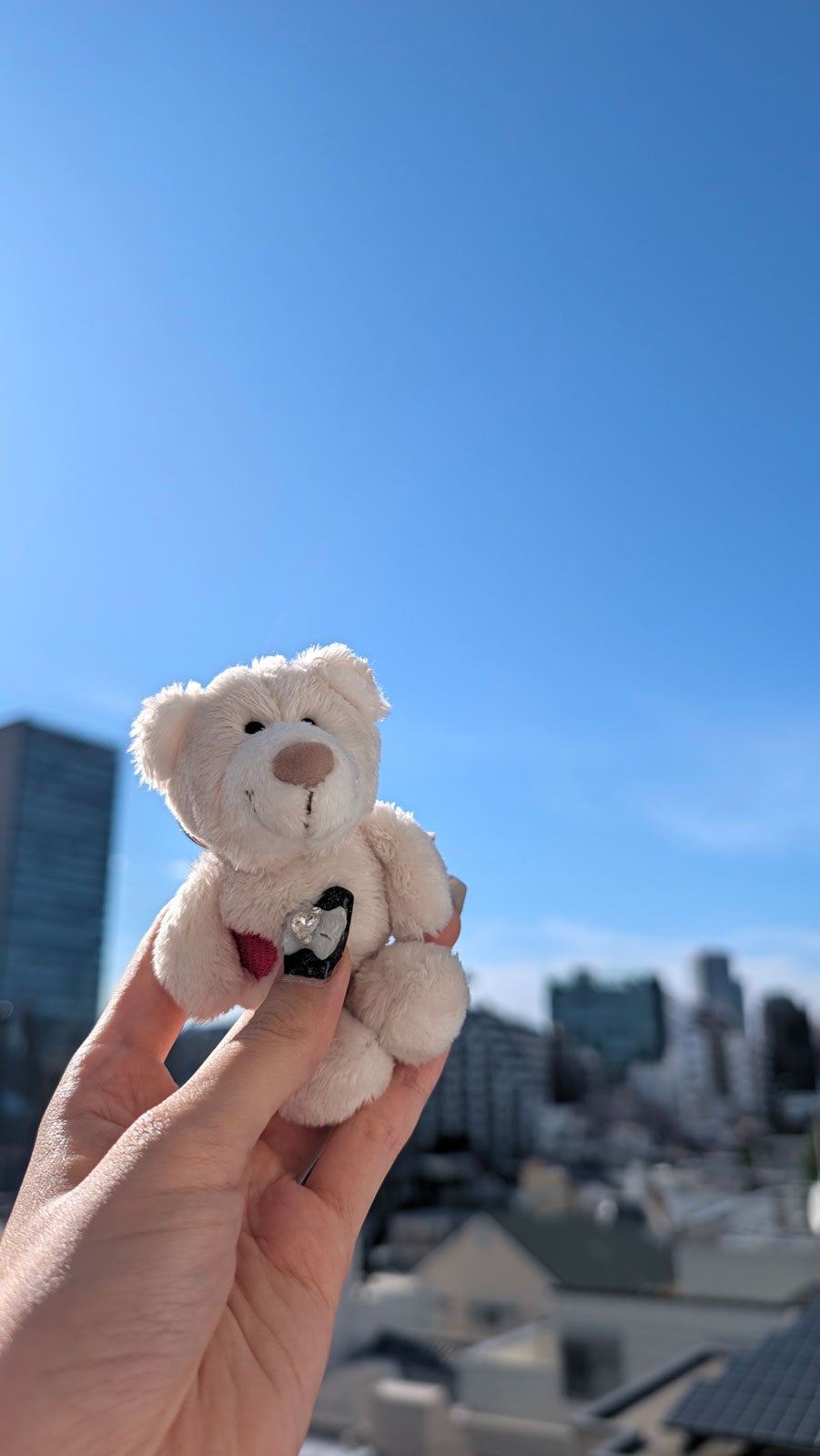 写真にこだわるぬい活にもぴったり／Google Pixel 11 Pro 撮影