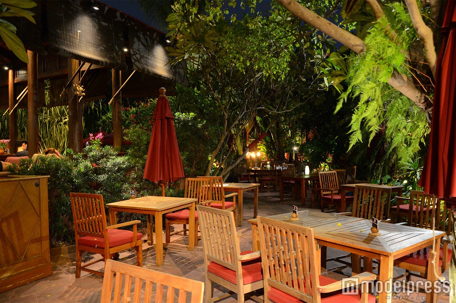 サラ（C）モデルプレス