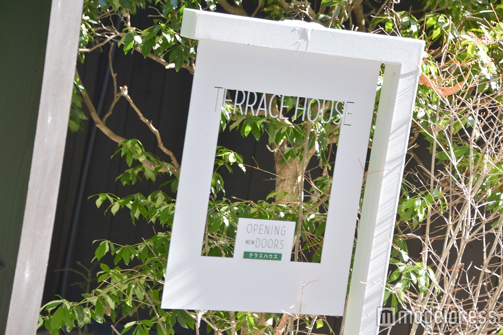 テラスハウスの表札（C）モデルプレス