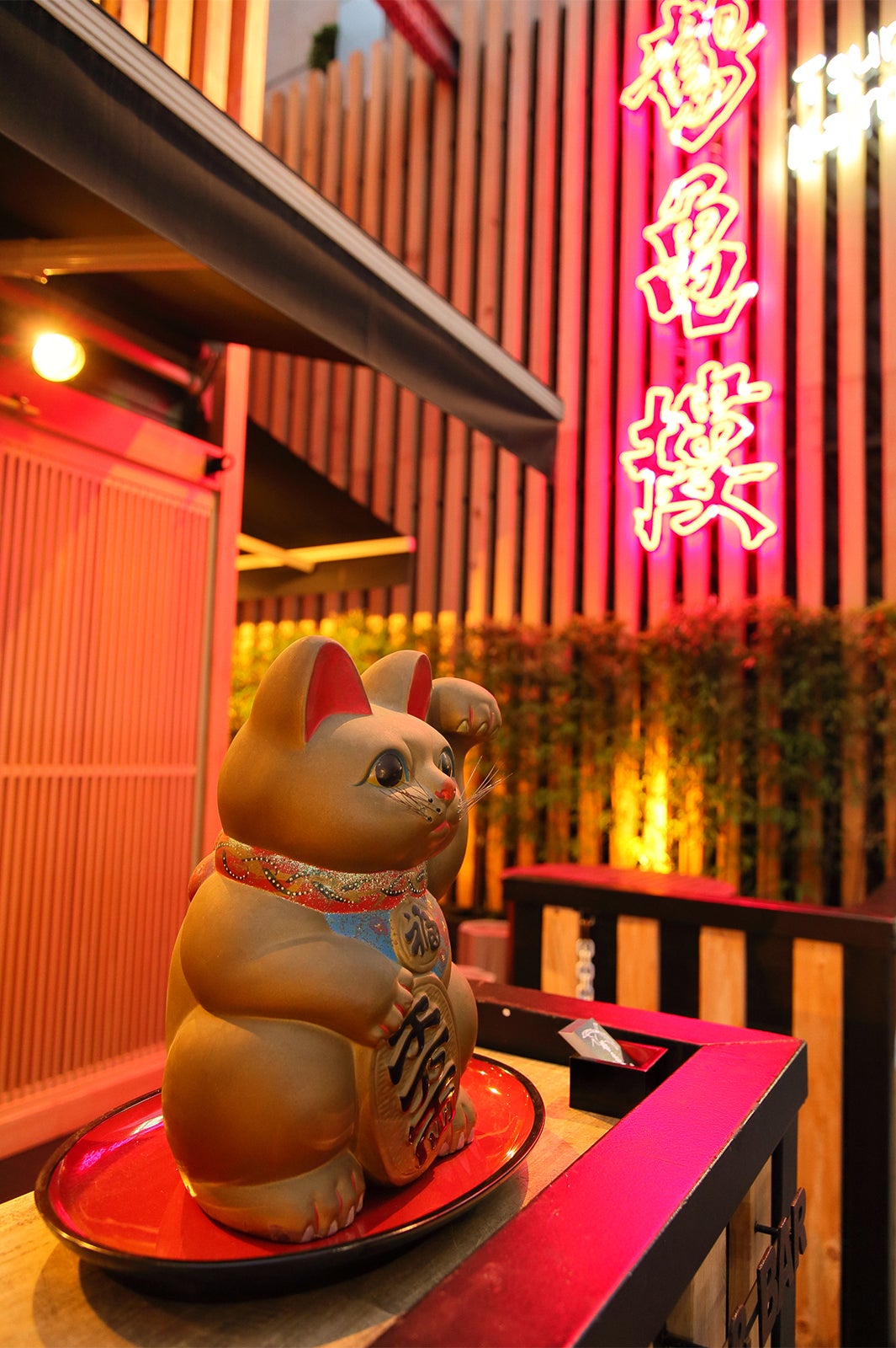 夜はネオンに灯がともり、 ぐっと落ち着いた雰囲気に／画像提供：際コーポレーション